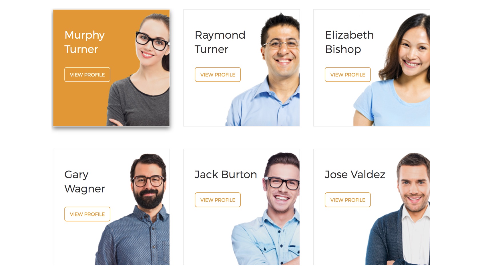Teachers Profiles