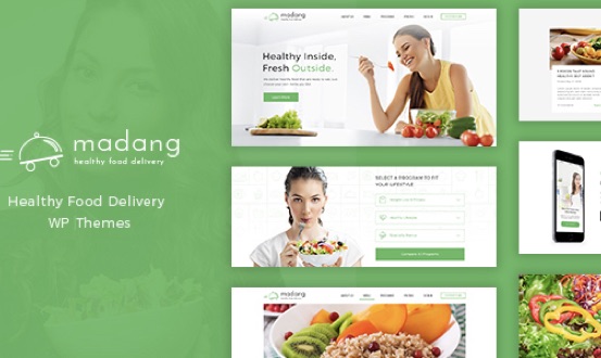 Healthy Food Delivery Nutrition WordPress Theme