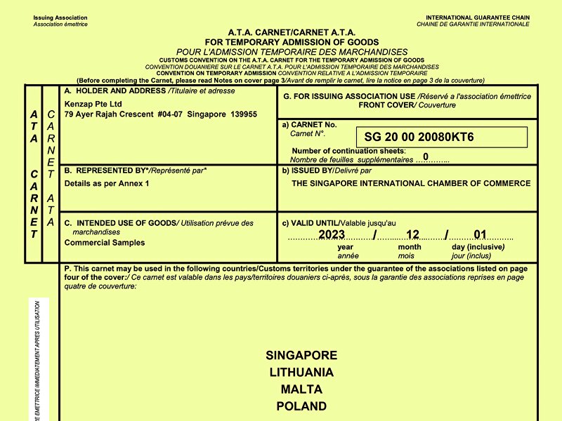 Automatically generated ATA Carnet document